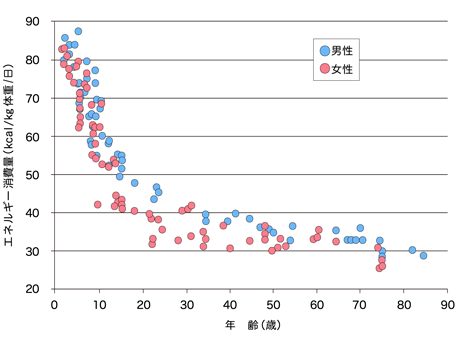 年齢別に見たエネルギー消費量