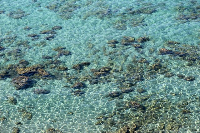 浅瀬の海底