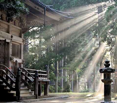 光が注ぐ神社