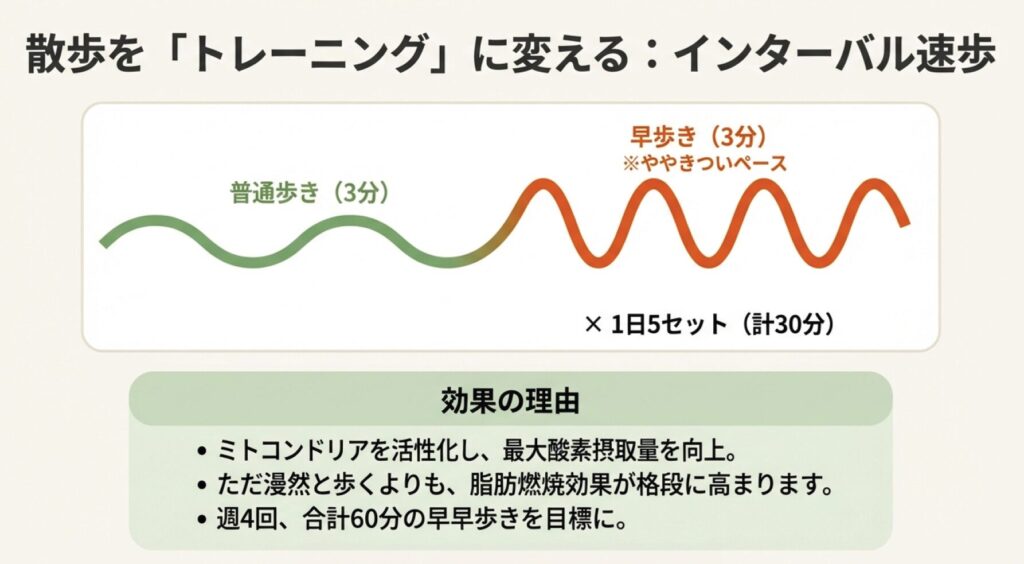 脂肪燃焼効果を高めるインターバル速歩のやり方と時間配分